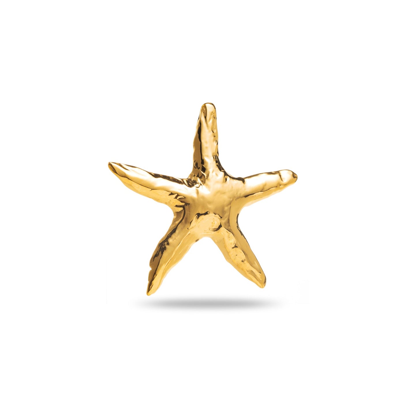 Broche étoile de mer martelé