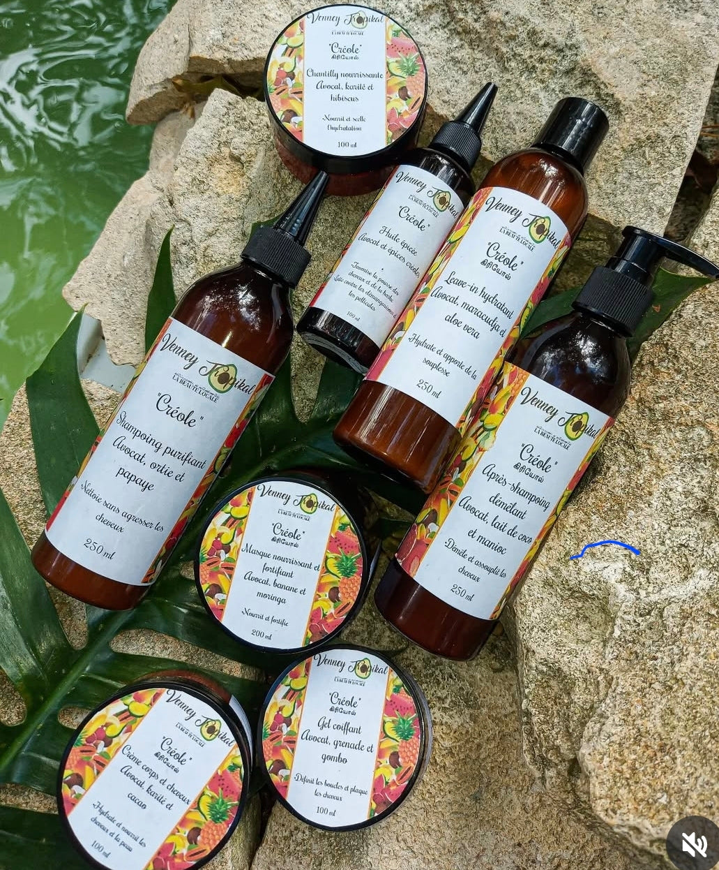 L'univers venney Tropikal